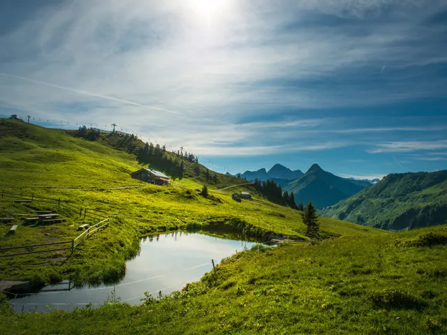 Alpe-Oberdamuels-_c_-Huber-Images---Damuels-Faschina-Tourismus.jpg