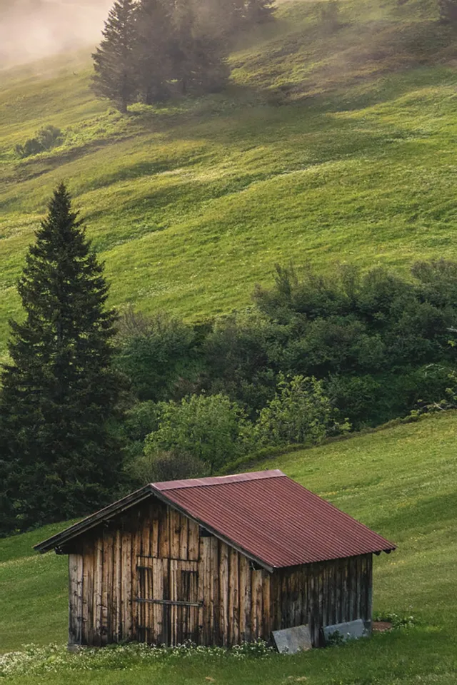 Damuels-Uga-_c_-Michael-Meusburger---Bregenzerwald-Tourismus.jpg