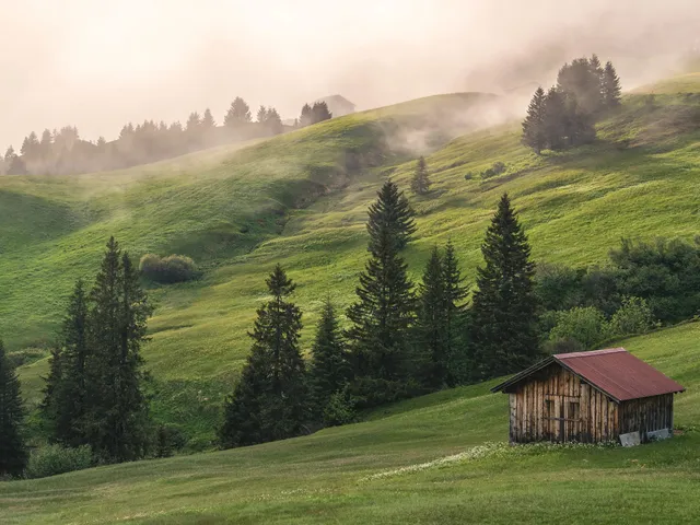 Damuels-Uga-_c_-Michael-Meusburger---Bregenzerwald-Tourismus.jpg