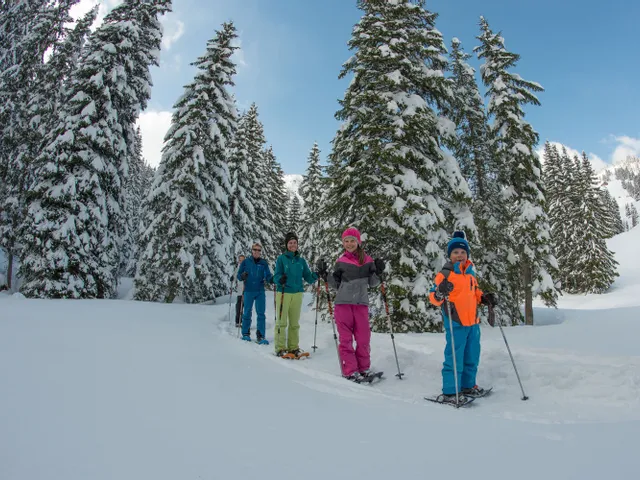 Schneeschuhwandern-in-Damuels-_c_-Huber-Images---Damuels-Faschina-Tourismus.jpg