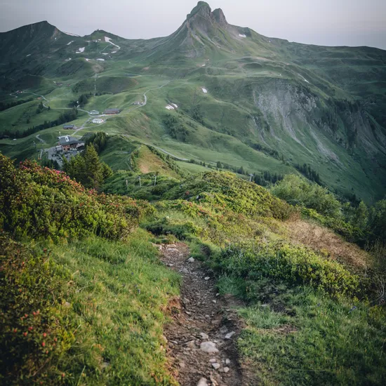 Weg-zum-Elsenkopf-in-Damuels-_c_-Lukas-Holland---Damuels-Faschina-Tourismus.jpg