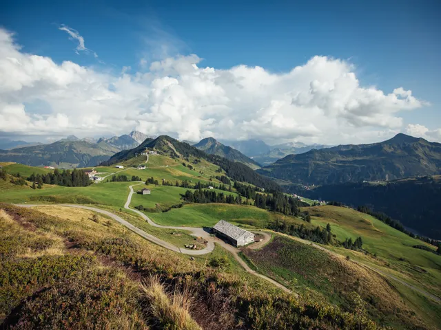 Berglandschaft-in-Damuels-_c_-Sebastian-Stiphout---Bregenzerwald-Tourismus.jpg