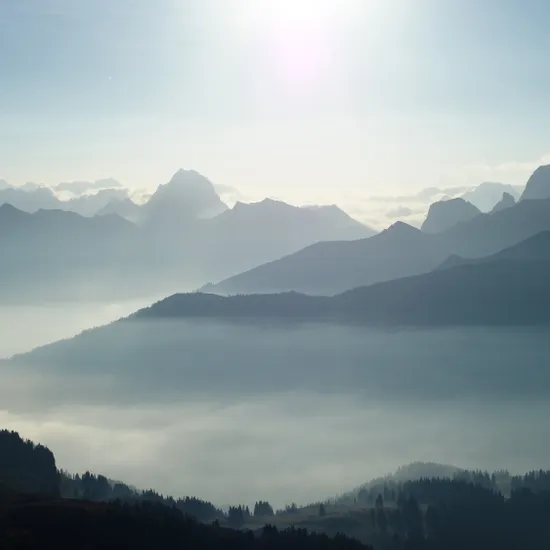 Blick-von-der-Mittagspitze-in-Damuels-_c_-Angelina-Schneider---Bregenzerwald-Tourismus.jpg