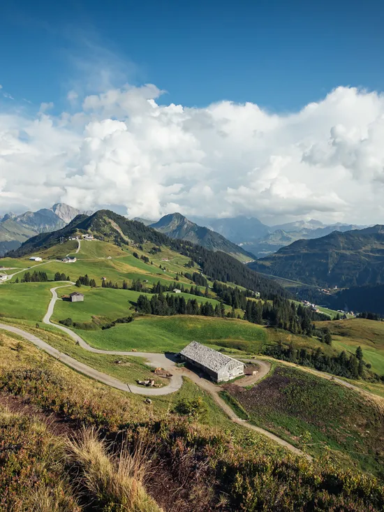 Berglandschaft-in-Damuels-_c_-Sebastian-Stiphout---Bregenzerwald-Tourismus.jpg