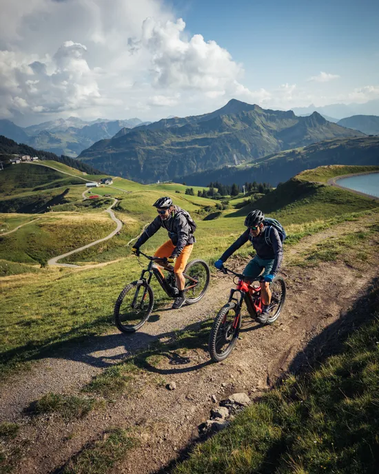 Mountainbiken-in-Damuels-_c_-Sebastian-Stiphout---Bregenzerwald-Tourismus-_2_.jpg