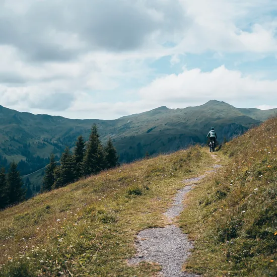 Mountainbiken-in-Damuels-_c_-Robert-Bohnke---Damuels-Faschina-Tourismus-_2_.jpg