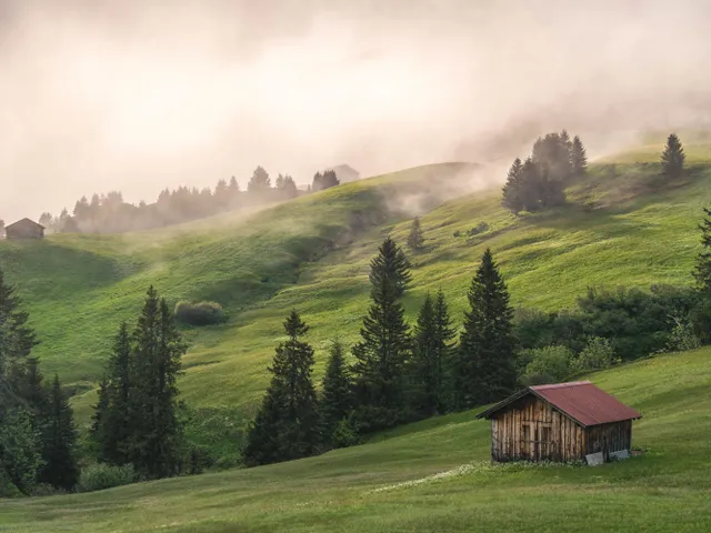 Damuels-Uga-_c_-Michael-Meusburger---Bregenzerwald-Tourismus.jpg