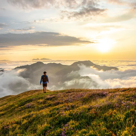 Wandern-in-Damuels-_c_-Marc-Fessler---Damuels-Faschina-Tourismus.jpg