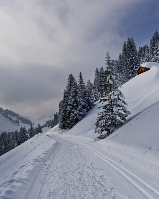 Loipe-und-Winterwanderweg-in-Damuels-_c_-Huber-Images---Damuels-Faschina-Tourismus.jpg