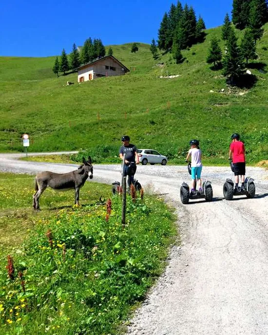 segway-damuels-unberuehrt.jpg