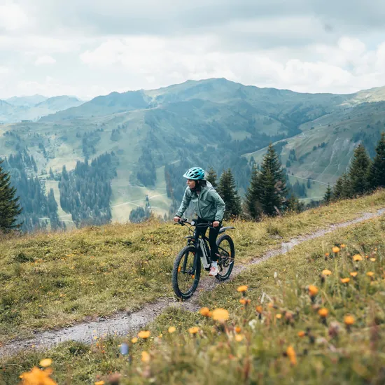 Mountainbiken-in-Damuels-_c_-Robert-Bohnke---Damuels-Faschina-Tourismus-_1_.jpg