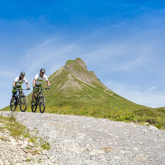 Mountainbiken-in-Damuels-_c_-Stephan-Schatz---Bike-Schule-Bregenzerwald.jpg