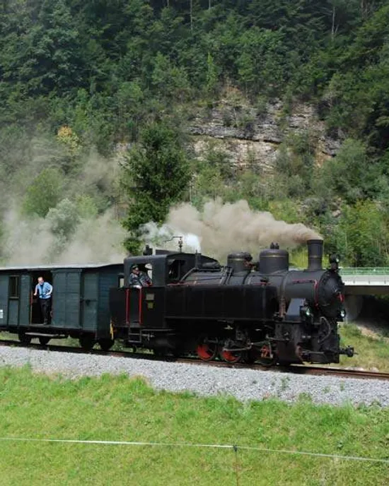 waelderbaehnle-bregenzerwald-urlaub.jpg