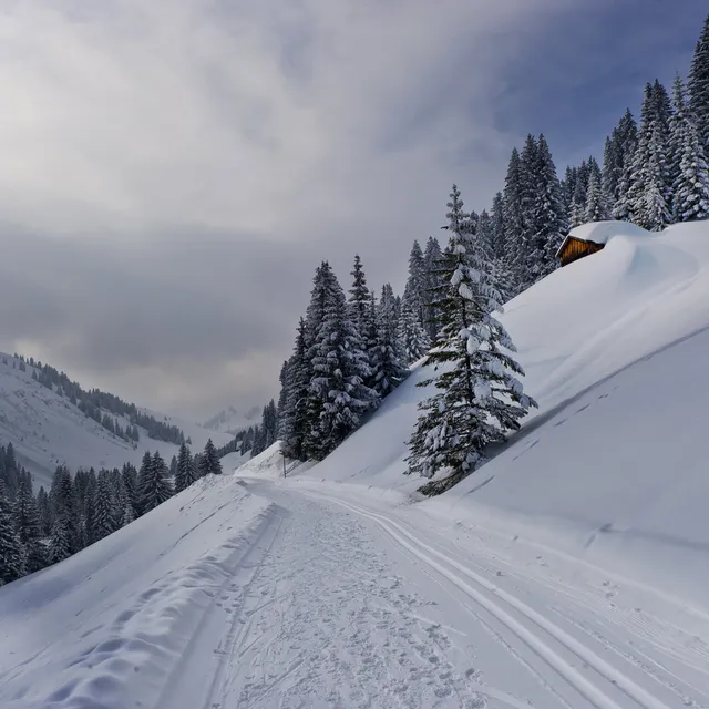 Loipe-und-Winterwanderweg-in-Damuels-_c_-Huber-Images---Damuels-Faschina-Tourismus.jpg