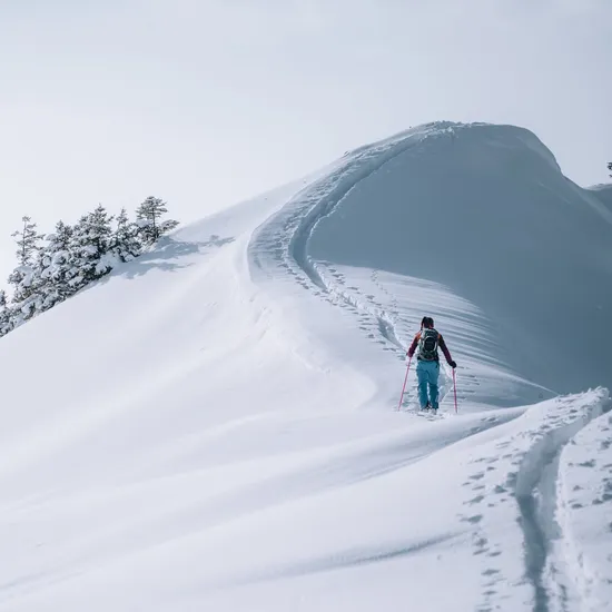 Skitouren-in-Damuels-_c_-Lukas-Holland---Damuels-Faschina-Tourismus-_10_.jpg