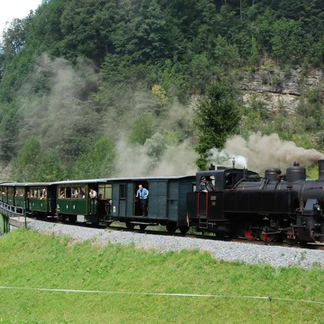 waelderbaehnle-bregenzerwald-urlaub.jpg